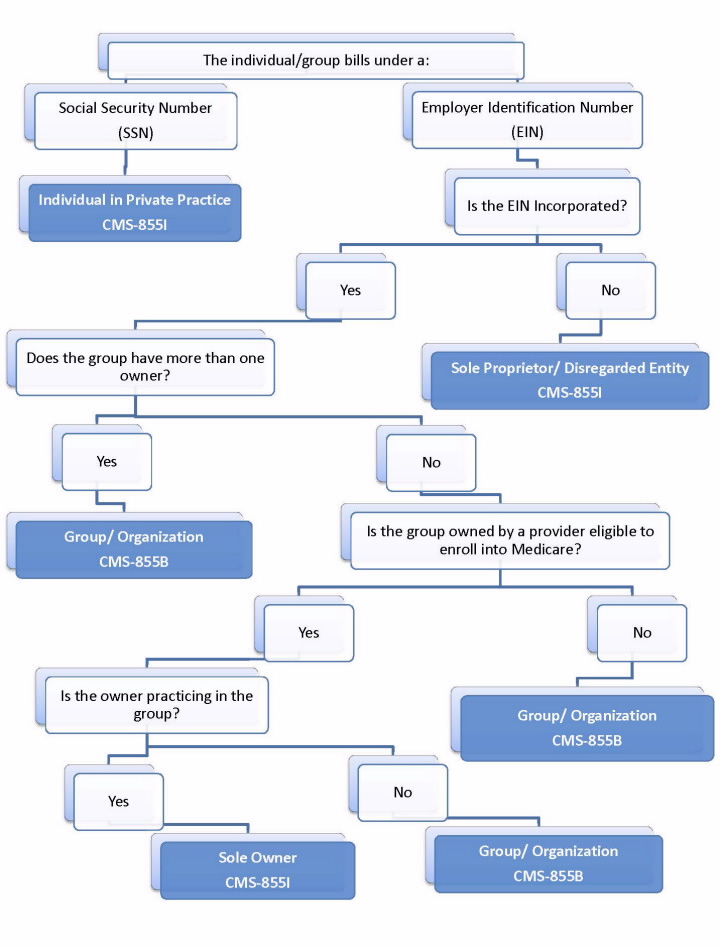 Individual, Sole Proprietor / Disregarded Entity, Sole Owner, Group Practice Decision Tree