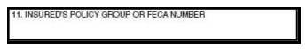 Picture of  Item 11-Insured's policy group or FECA number on the claim form. 